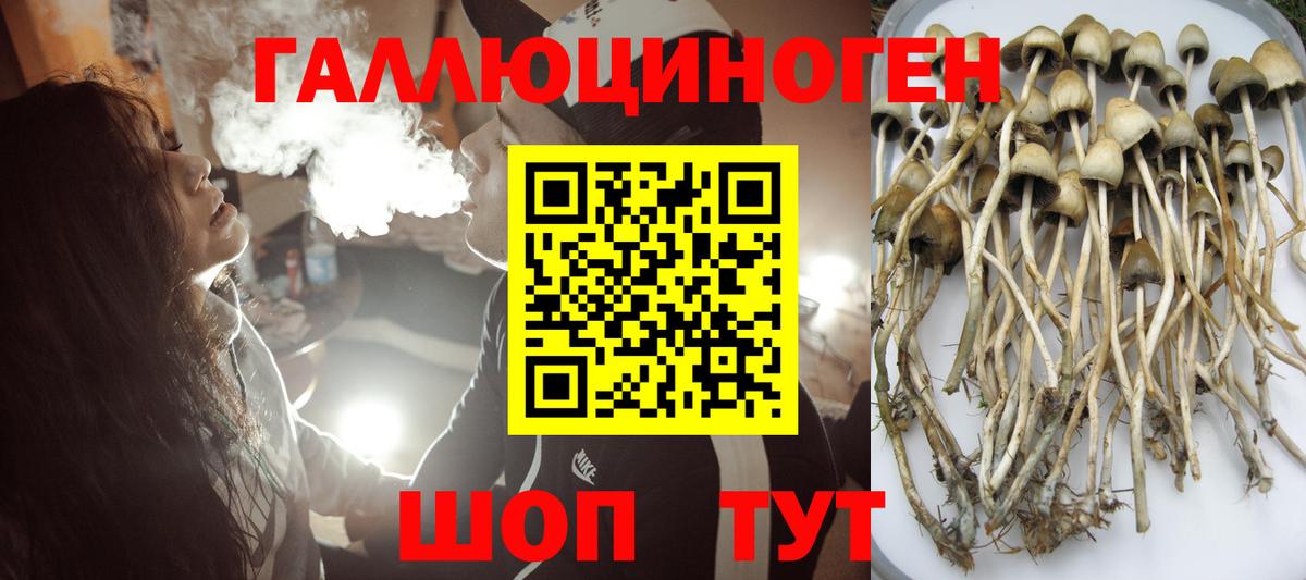 Псилоцибиновые грибы мухоморы Казань
