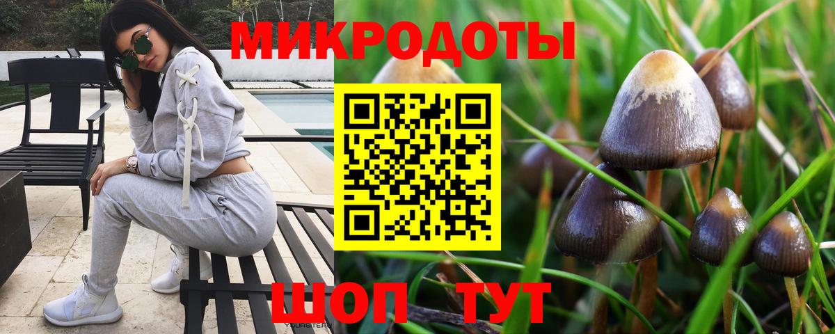 Казань  Галлюциногенные грибы Psilocybine cubensis  Вход с VPN 